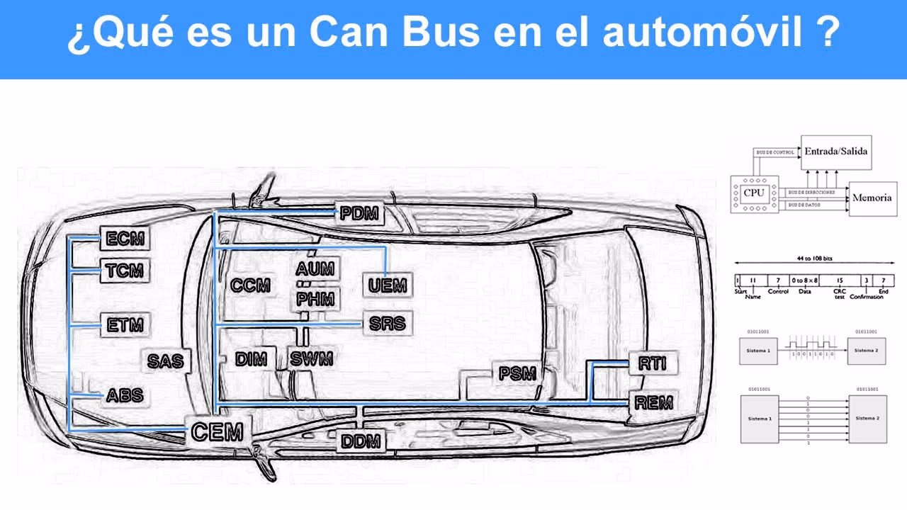 ¿Qué vehículos tienen CAN bus?