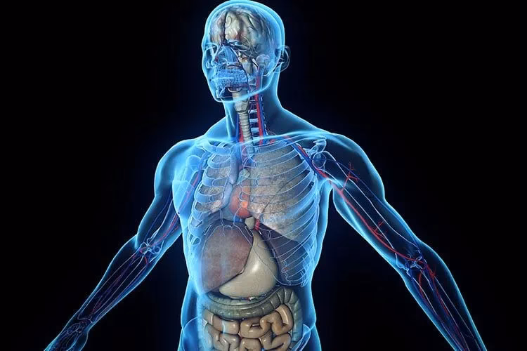 ¿Qué vehículo tiene más accidentes con víctimas mortales?