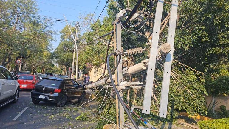 ¿Qué hacer si pierdo una placa en Hidalgo?