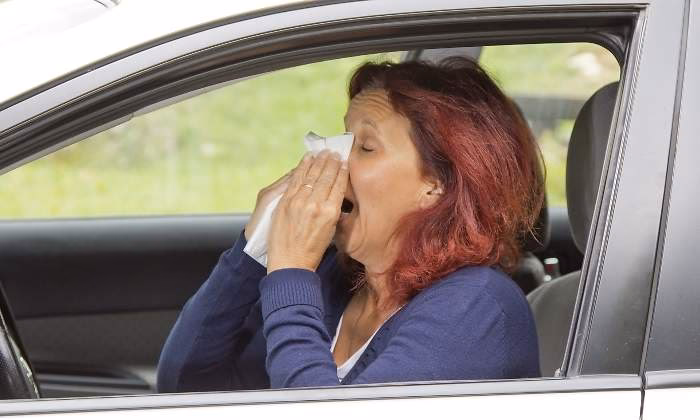¿Por qué mis alergias se manifiestan en el coche?