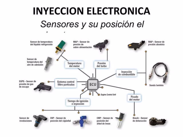 ¿Qué papel desempeñan los sensores y actuadores en un sistema de automatización?
