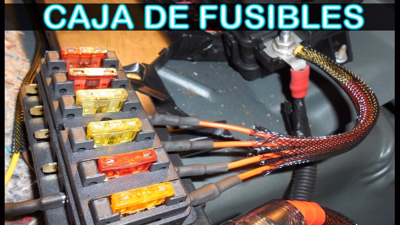 ¿Cómo saber cuál es fase y neutro en una caja de fusibles?