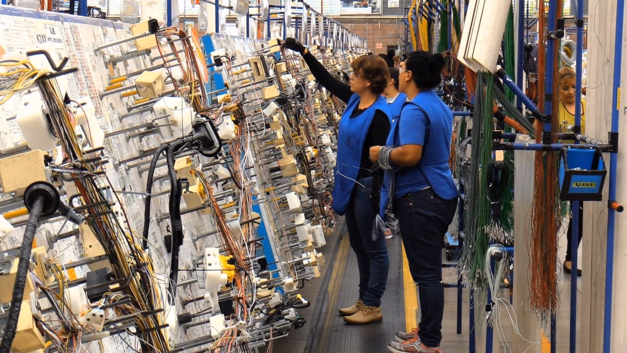 ¿Qué son los arneses para la línea blanca?