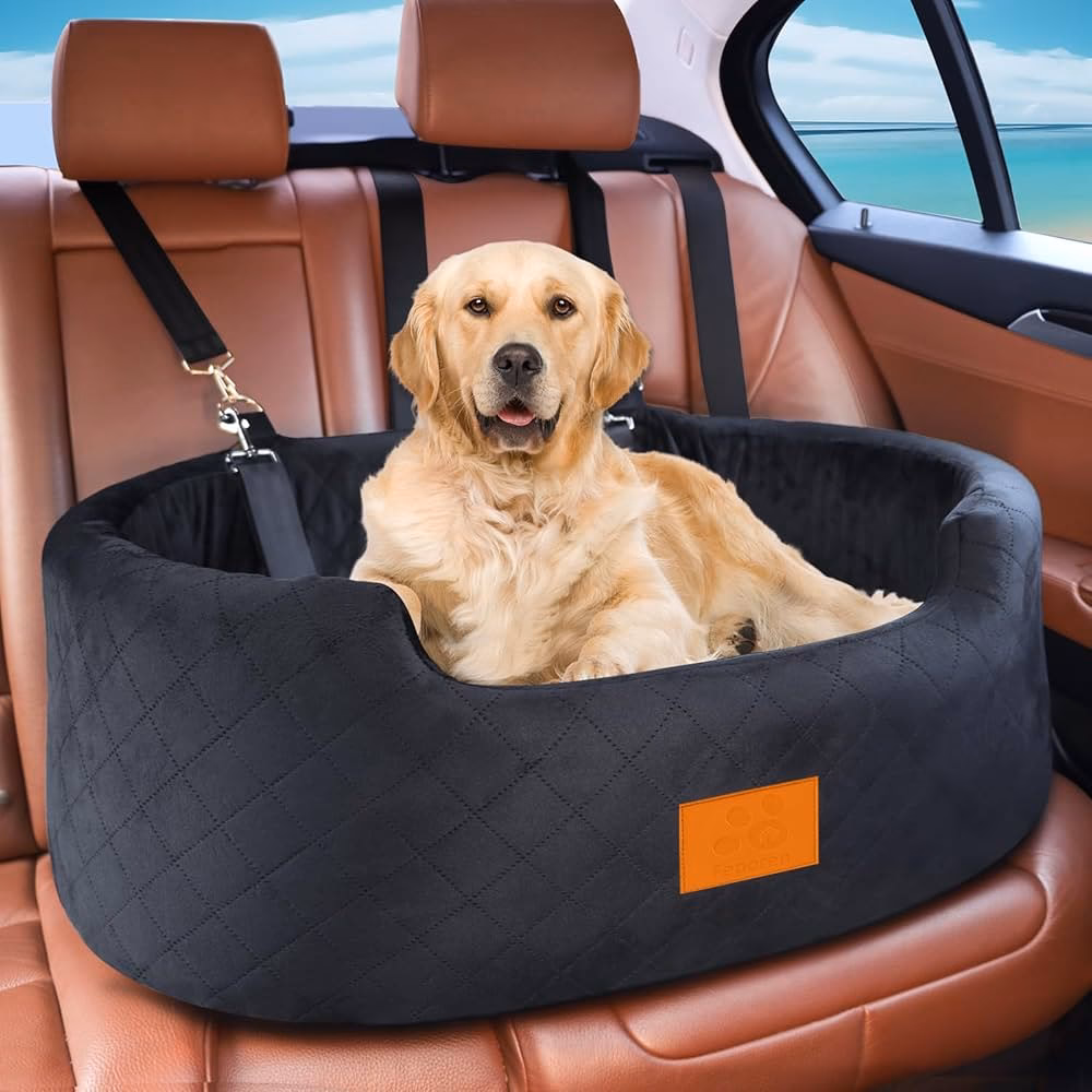 ¿Cuál es la mejor manera de viajar para un perro pequeño en el coche?