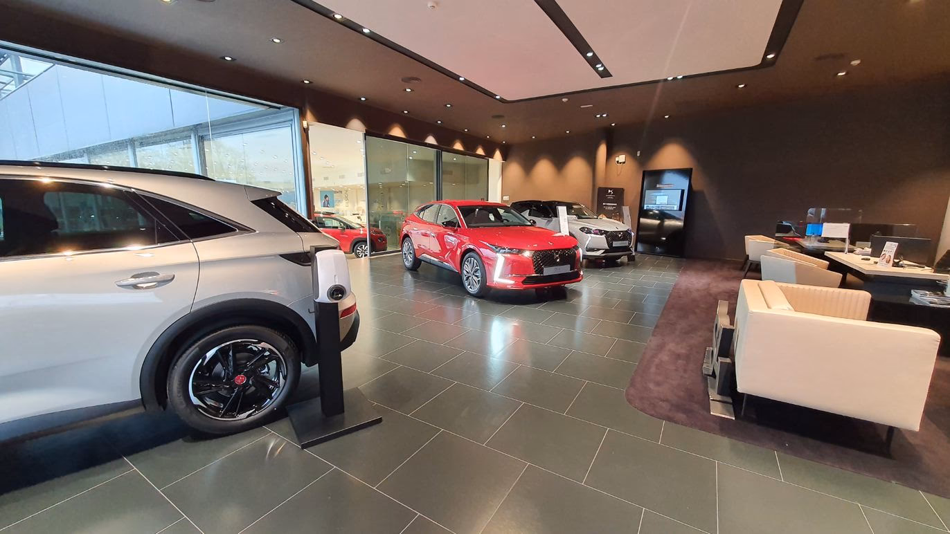 ¿Qué significa Audi en alemán?