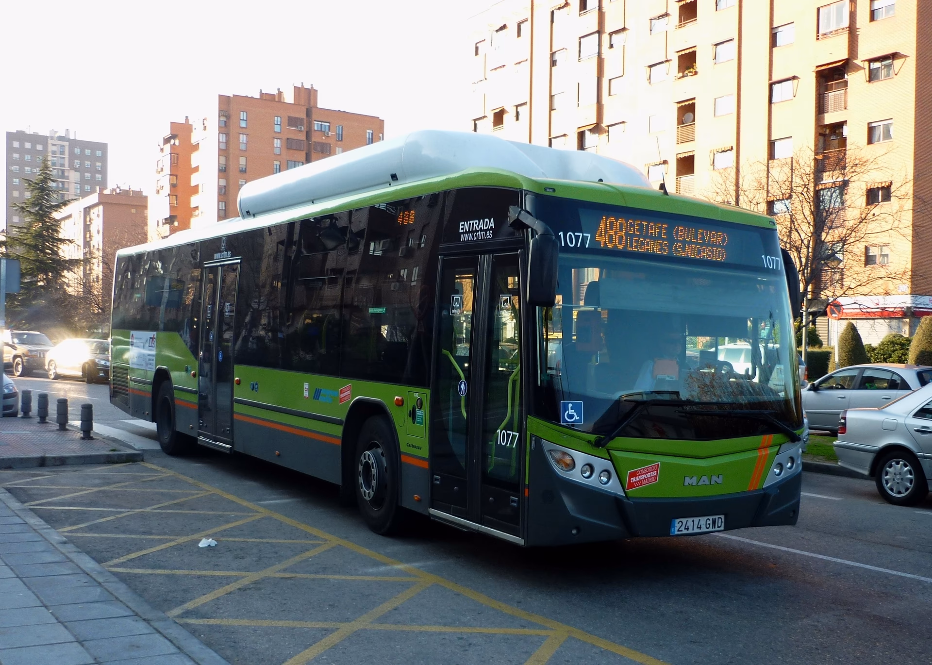 ¿Qué líneas de autobuses existen?