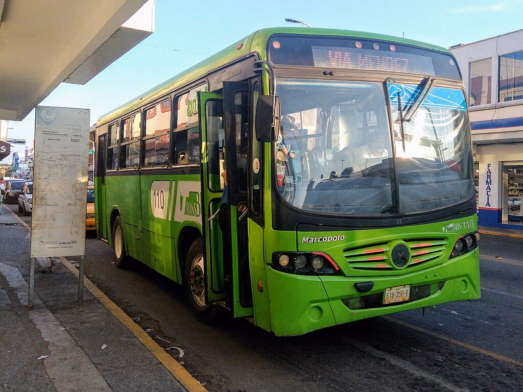 ¿Qué significa transbus?