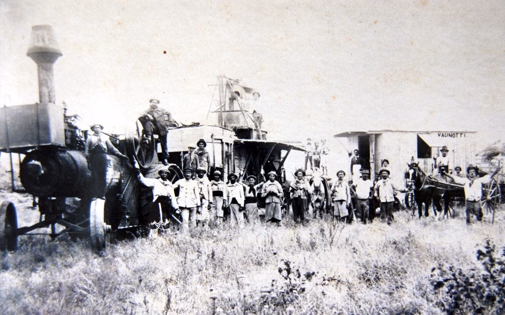 ¿Cómo se inserta Argentina en el mercado mundial capitalista?