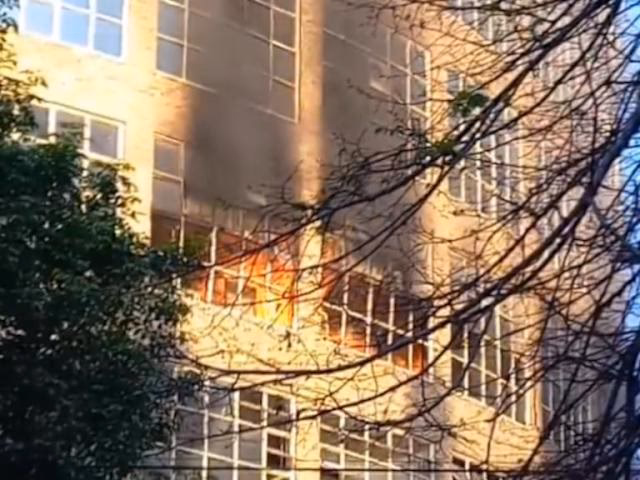 ¿Cómo reportar un siniestro de vehículo?