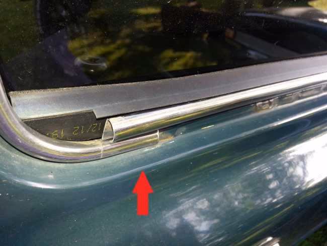 ¿Qué es una coliza?