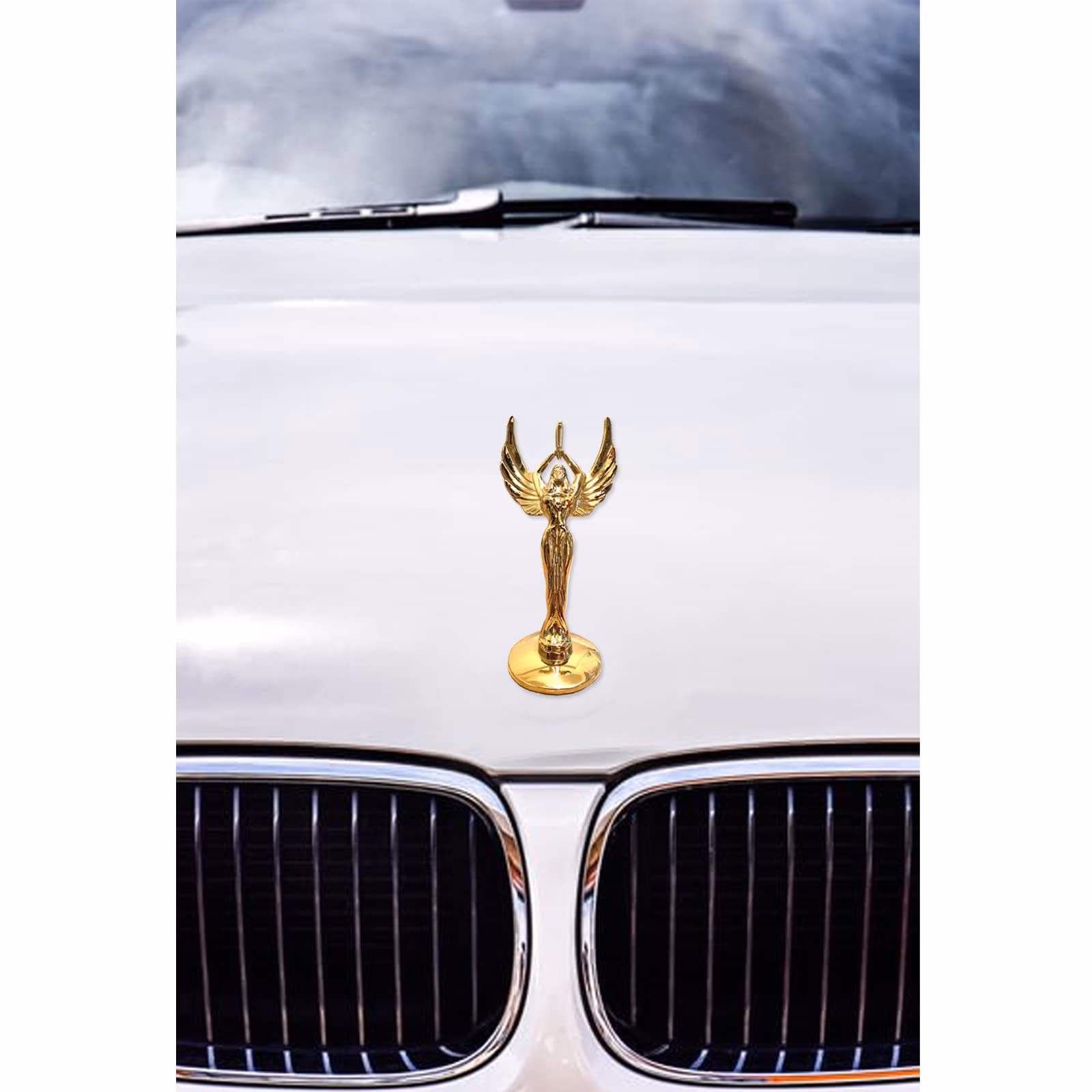 ¿Qué coche tiene alas como adorno en el capó?