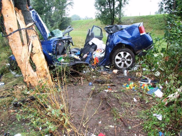 ¿Qué pasa si me cae un árbol a mi carro?
