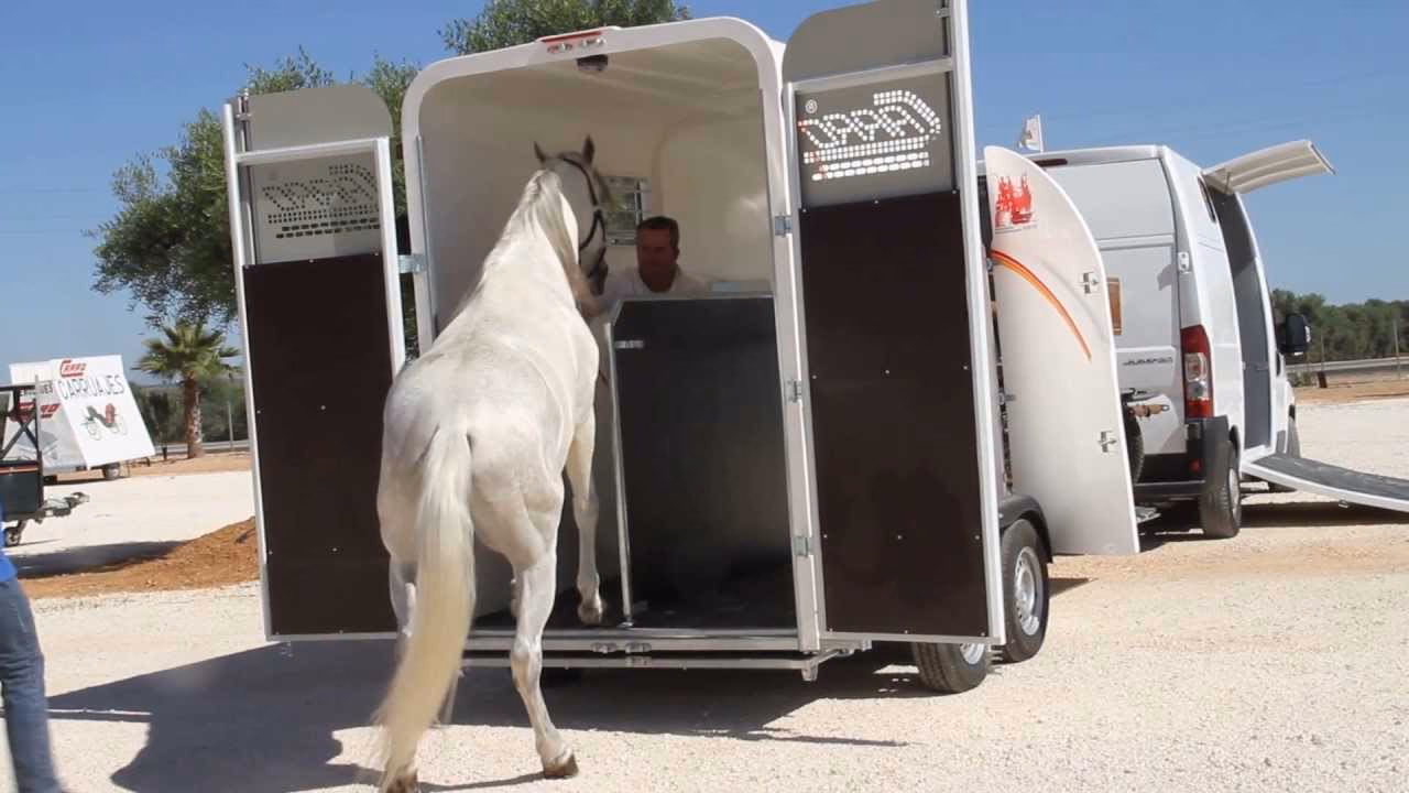¿Cuál es otro nombre para un carro tirado por caballos?