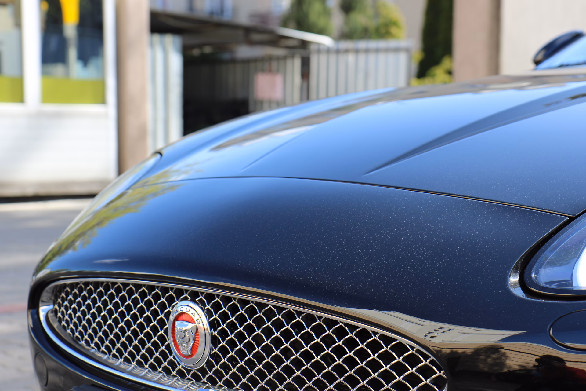 Why does Jaguar have two logos?