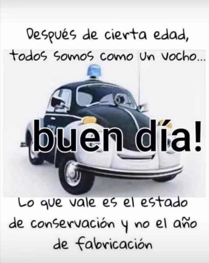¿Cómo se describe un coche en buen estado?