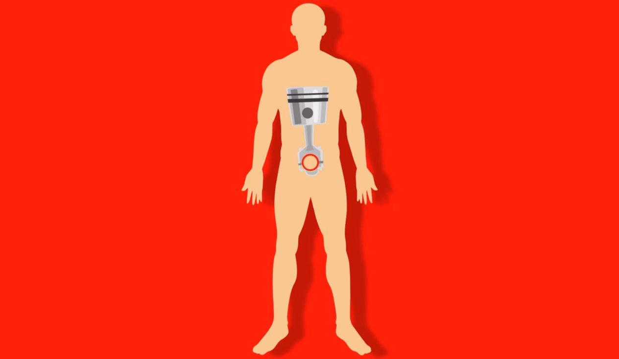 ¿Cuál es el cuerpo de un vehículo?
