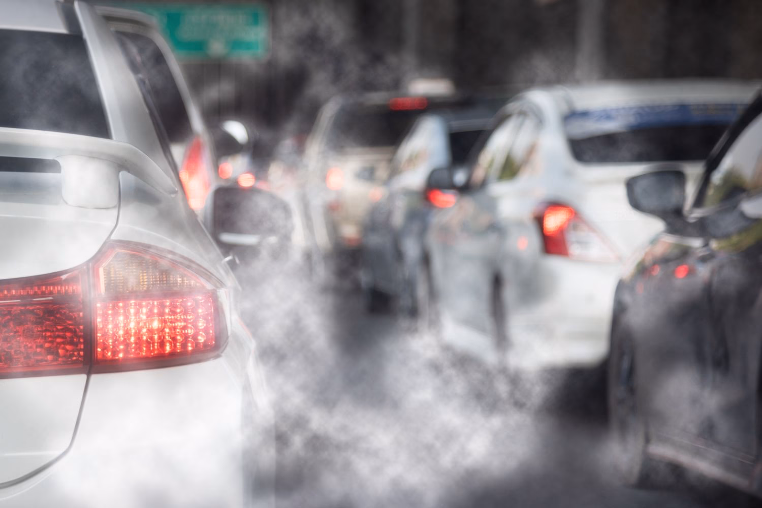 ¿Qué es un cuerpo lipídico?