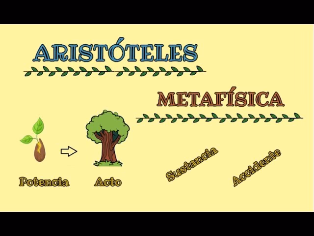 ¿Qué son los principios para Aristóteles?