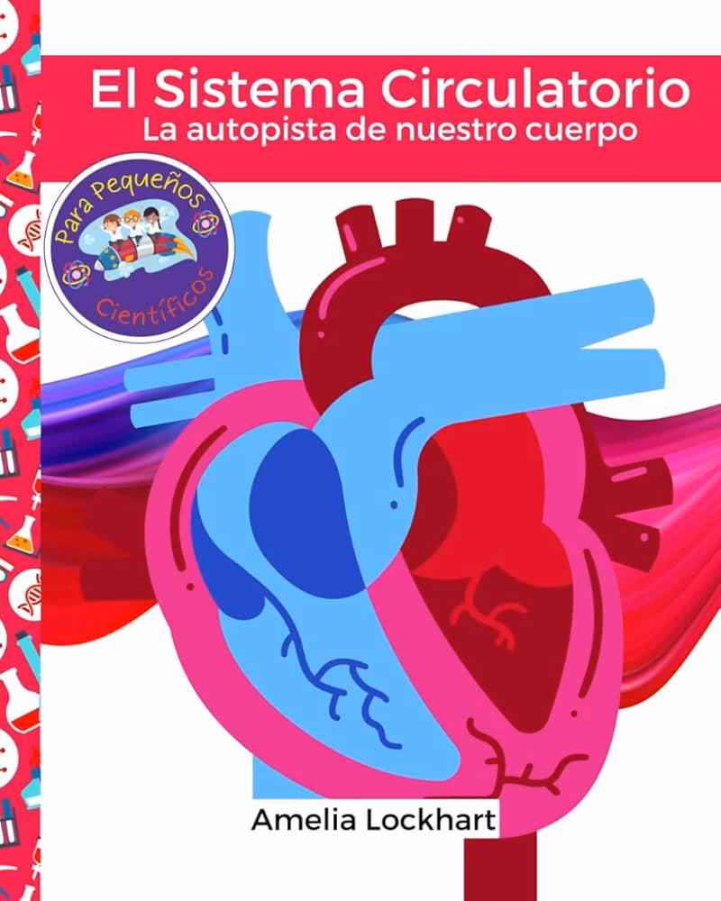 ¿Qué enfermedades afectan al sistema circulatorio?