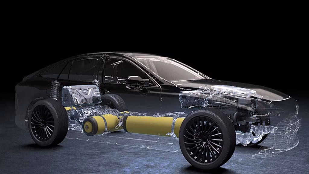 ¿Cuáles son los 3 tipos de biomasa?