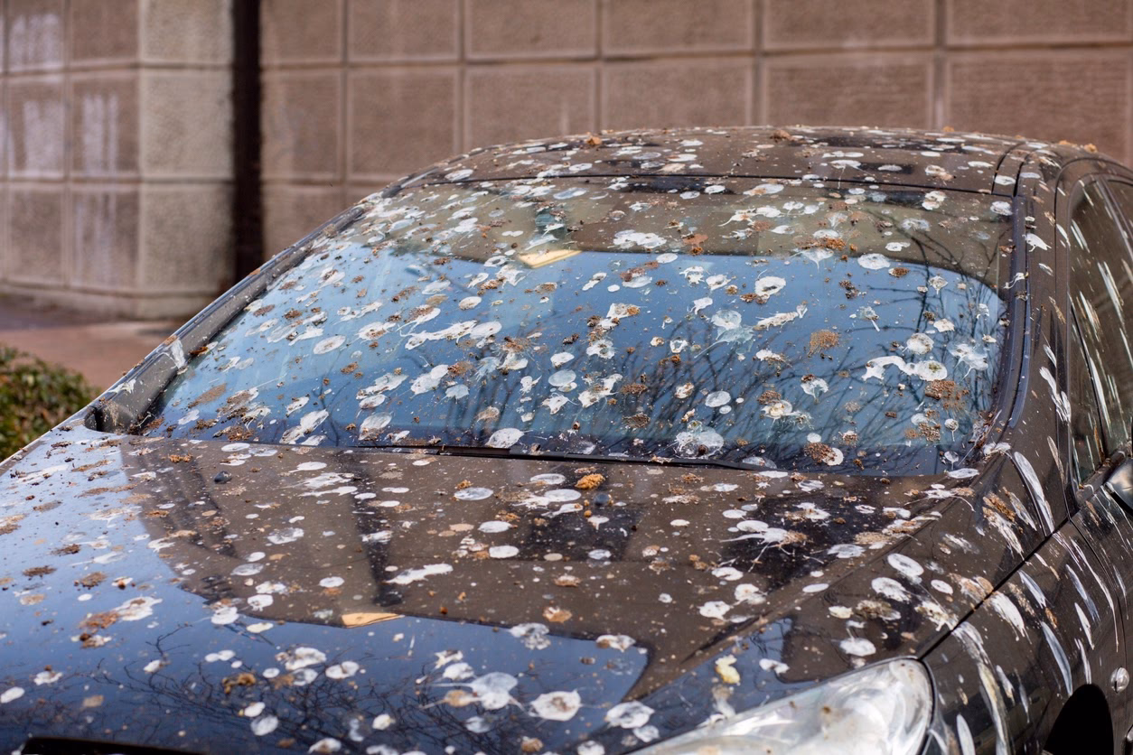 ¿Se puede pintar encima de pintura sin lijar?