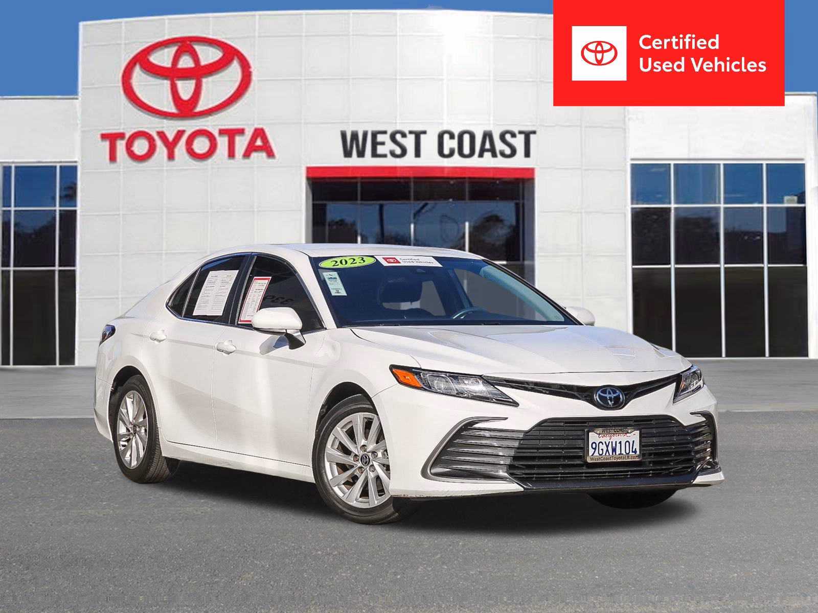 Who owns the International Auto Group?