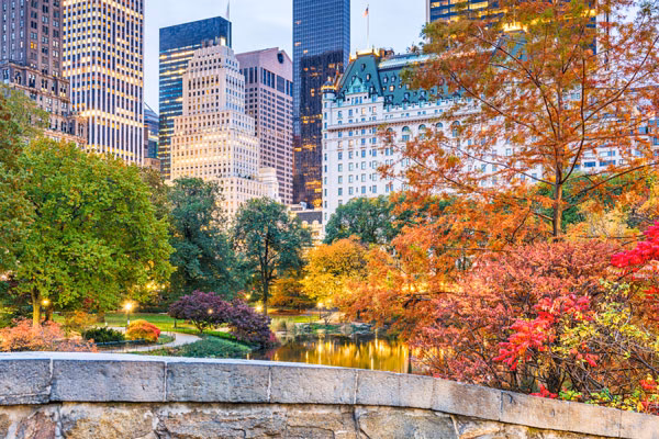 ¿Cuándo es la carrera en Nueva York?