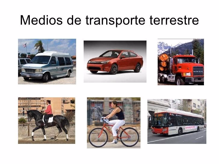 ¿Cómo evolucionaron los medios de transporte?