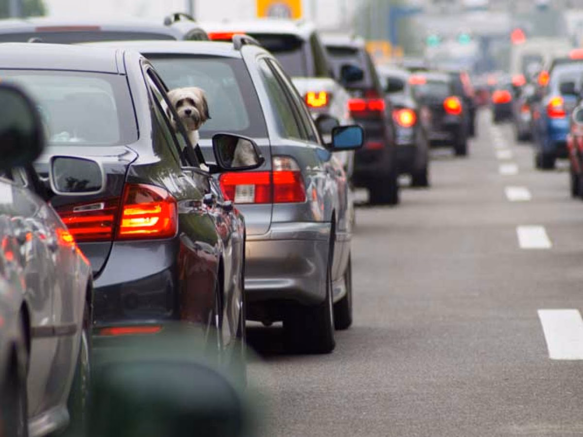¿Cómo nos afecta el ruido de los autos?