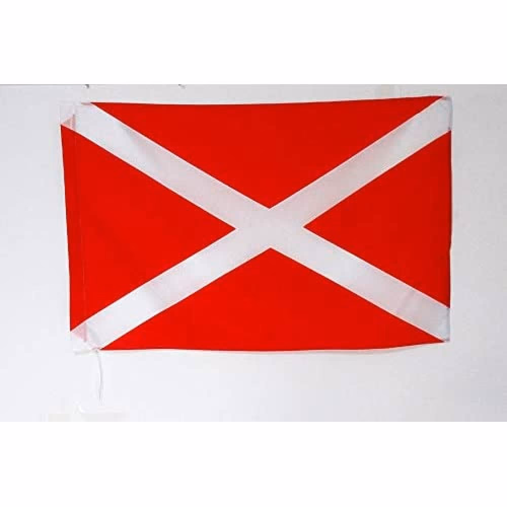 ¿Qué significa la bandera roja en una carrera?