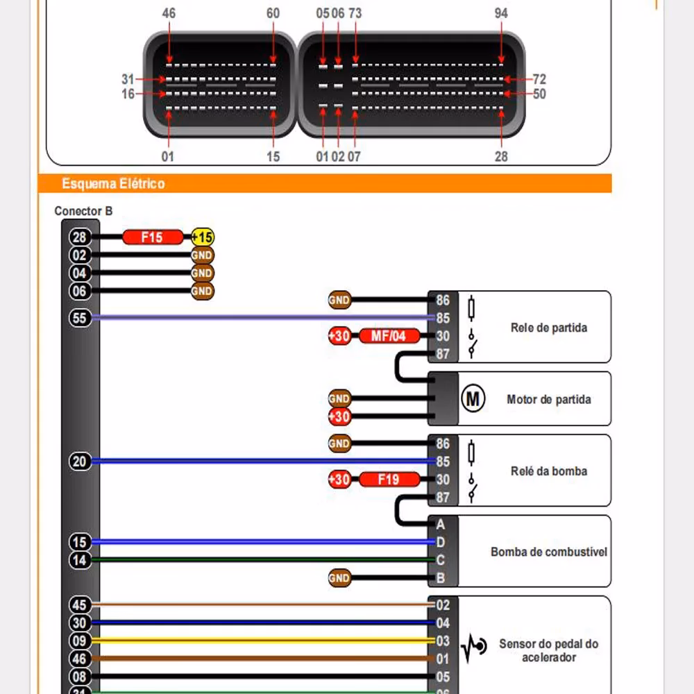 ¿Qué son los pinouts de una ECU?