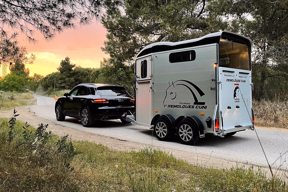 ¿Cómo se llama un caballo que tira de un carro?