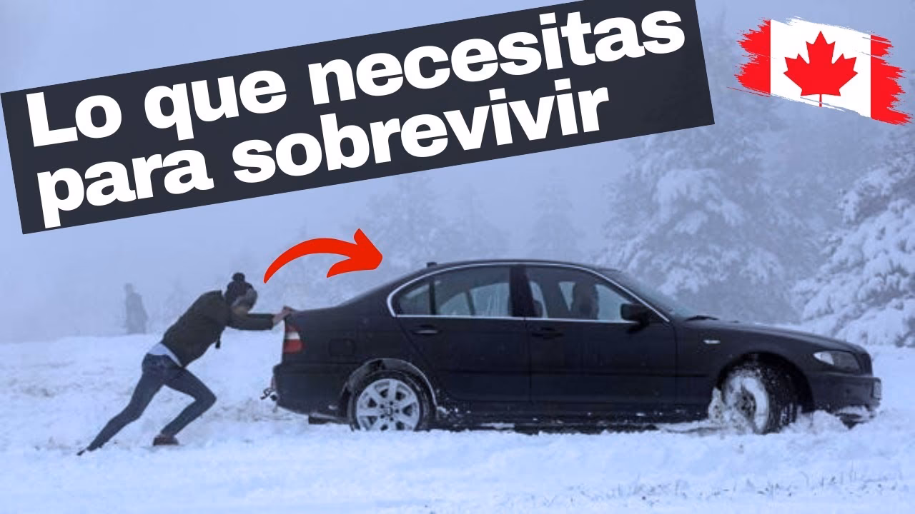 ¿Cuánto tiempo puede permanecer inactivo un coche cuando hace frío?
