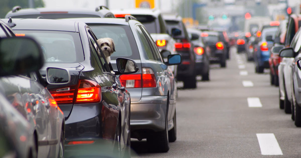 ¿Qué estado tiene más automóviles per cápita?