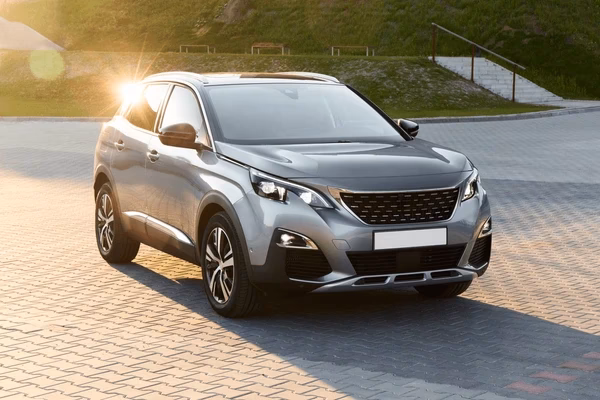 What does carro in Spanish mean?