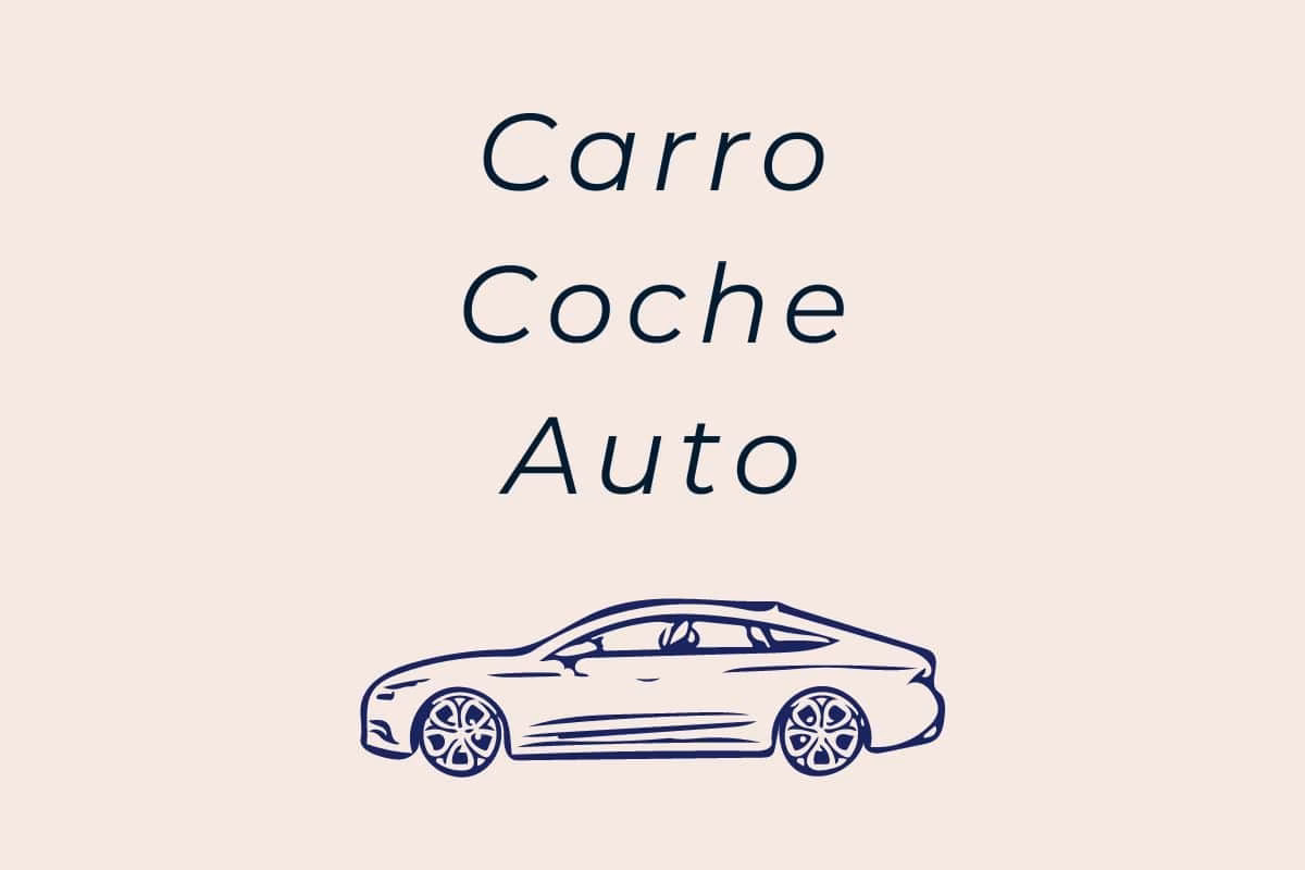 Is it carro or coche duolingo?