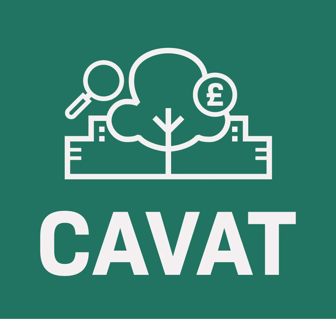 What does cavat mean?