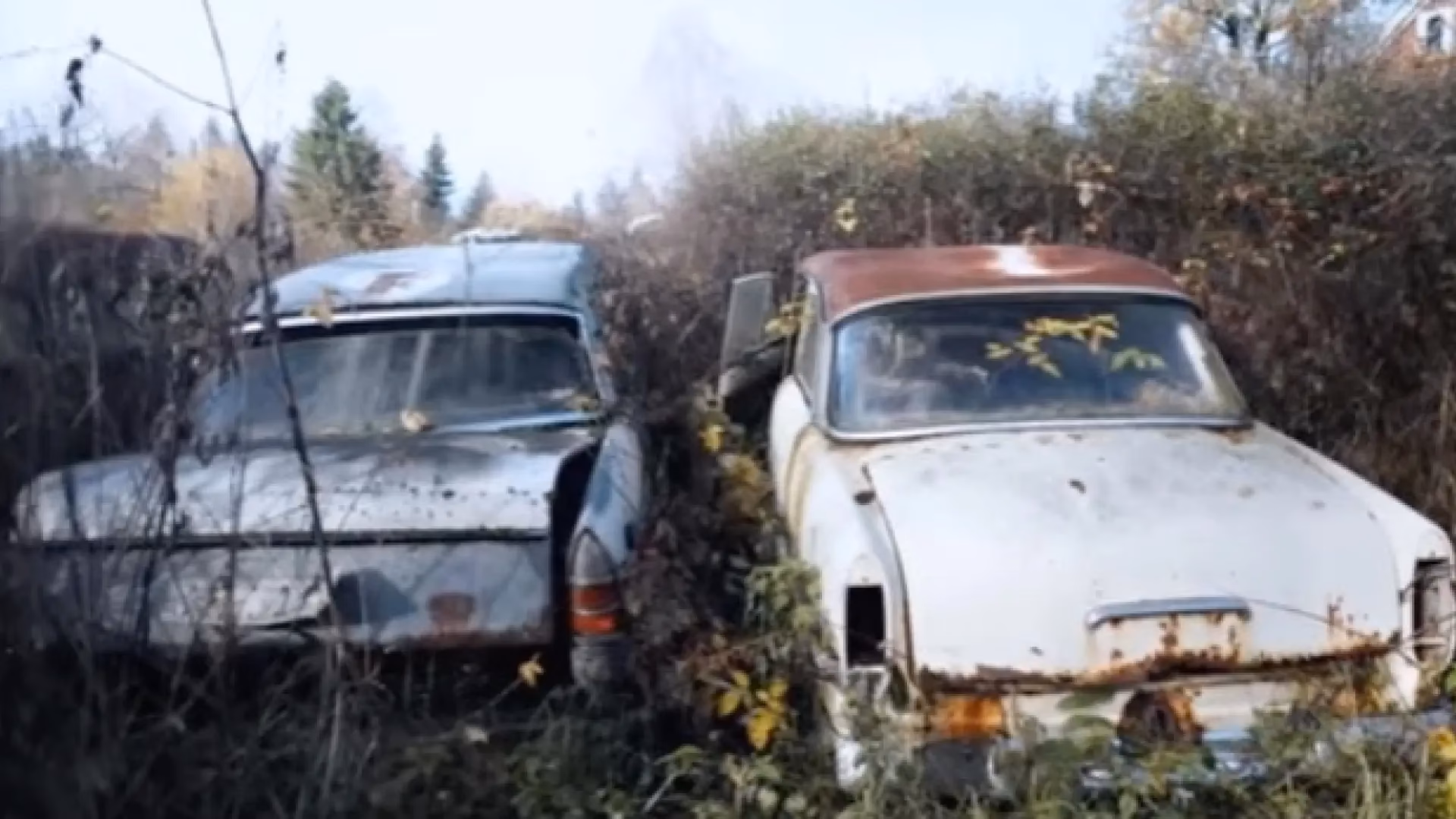 ¿Cómo se llaman los cementerios de coches?