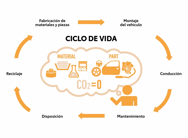 ¿Cómo se realiza el ciclo de vida de un producto?