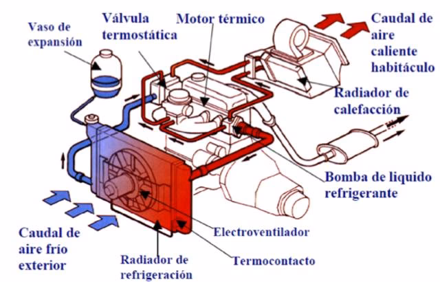 ¿Cómo circula el agua en un carro?