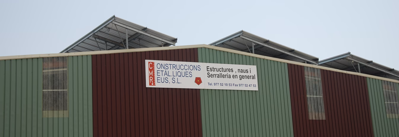 How many career goals does Reus have?