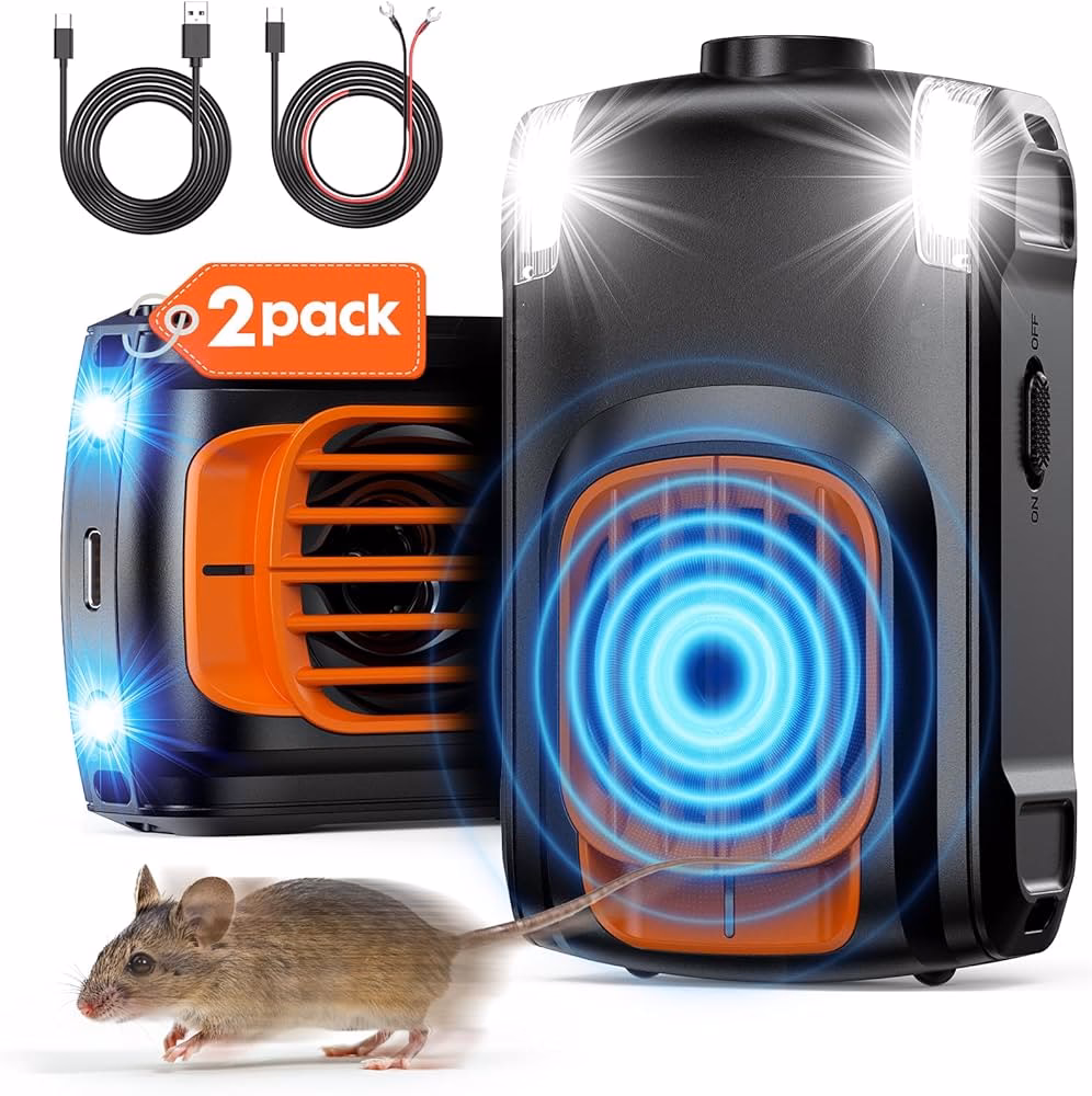 ¿Dónde se esconden las ratas en los carros?