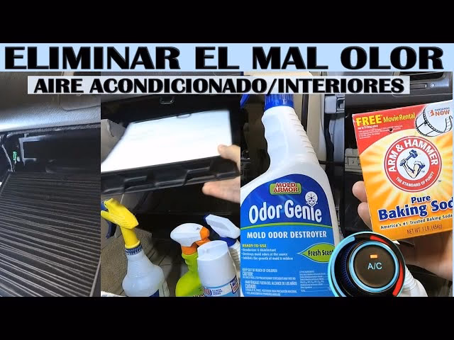 ¿Cómo puedo eliminar el olor a podrido de mi coche?