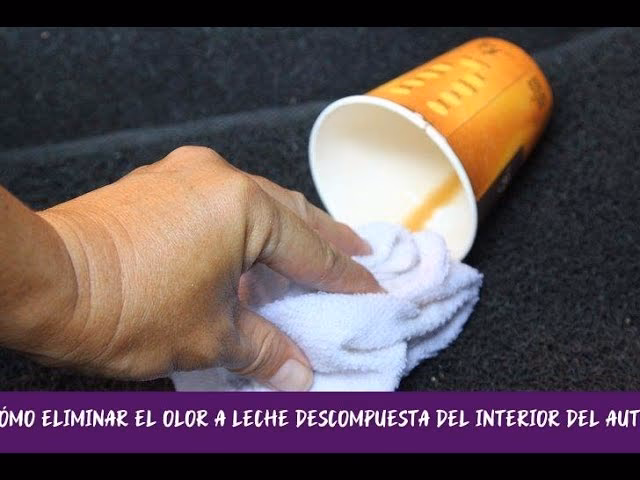¿Cómo puedo quitar el olor a leche de mi coche?