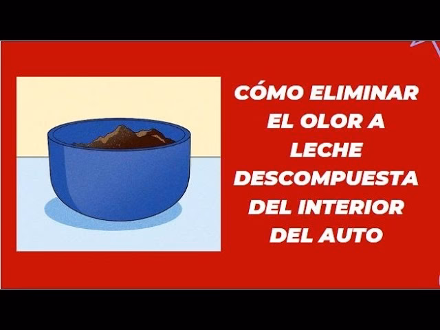 ¿Cómo sacar el olor a viejo de un auto?