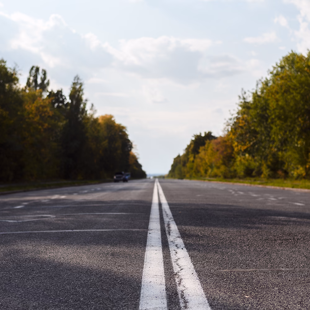 ¿Qué ruta me lleva a Lobos?