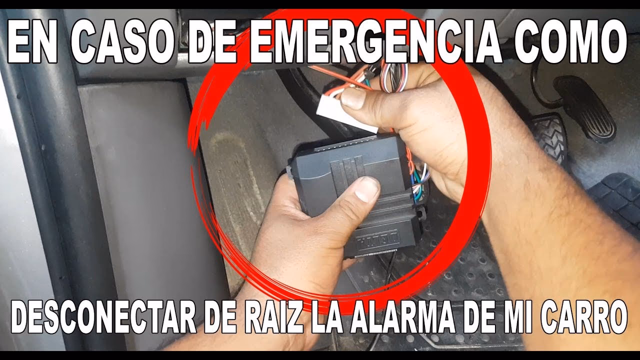 ¿Cómo puedo resetear una alarma Black Hunter?