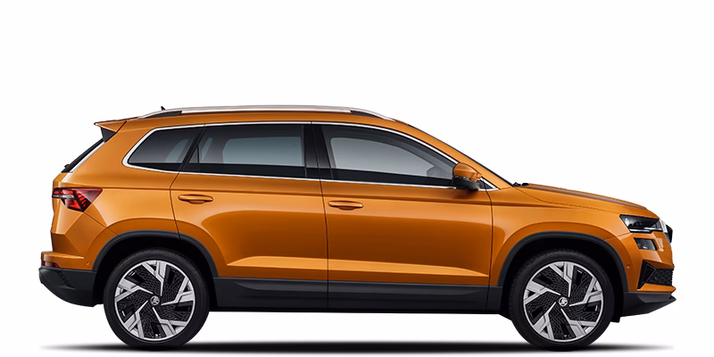 ¿Hay algún problema con un Skoda Karoq?