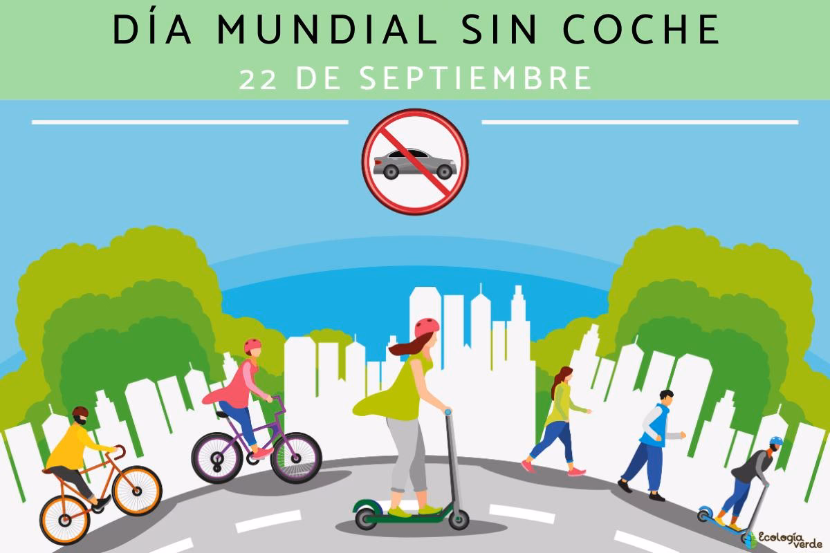 ¿Por qué se hace el Día sin carro?