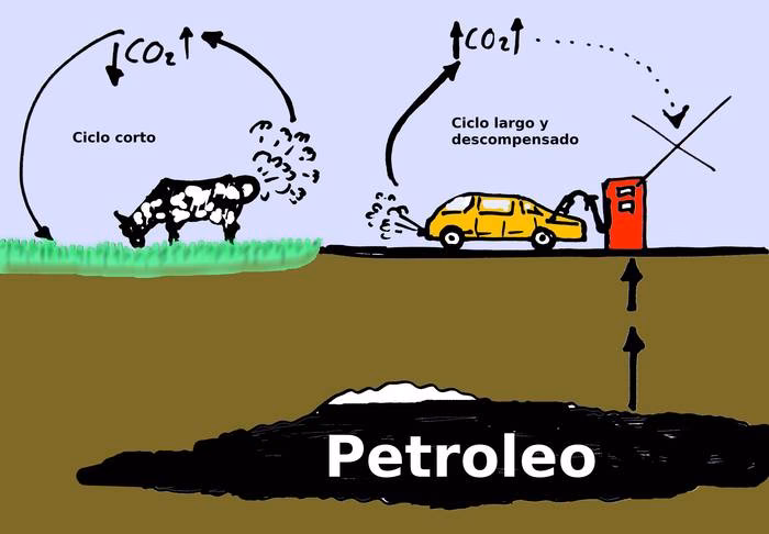 ¿Cuál es el animal que más contamina el ambiente?